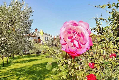 Vakantieappartement Gezinsvakantie Fažana