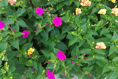 Ferienwohnung mit Klimaanlage und Balkon