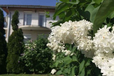 Vakantieappartement Gezinsvakantie Balatonlelle