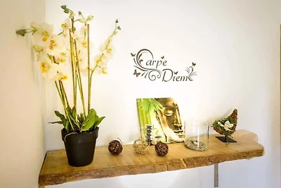 Ferienwohnung mit grosser Terrasse
