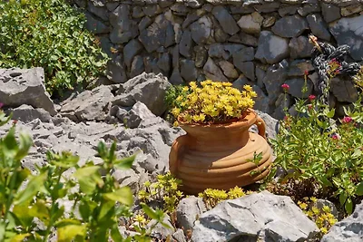 Ferienwohnung mit Meerblick