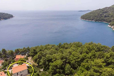 Holiday flat family holiday Smokvica