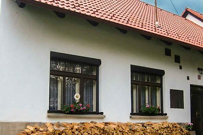 Casa vacanze Vacanza di relax Kolinec