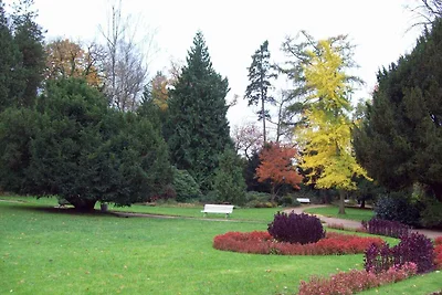 Ferienhaus mit Garten am Wald