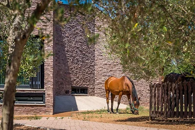 Idyllisches Ferienhaus zwischen Tribunj und