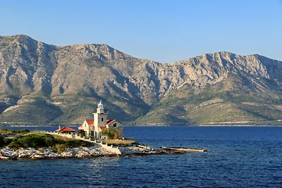 Appartamento Vacanza con famiglia Gdinj