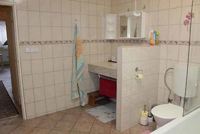 Appartamento Vacanza con famiglia Lipno nad Vltavou