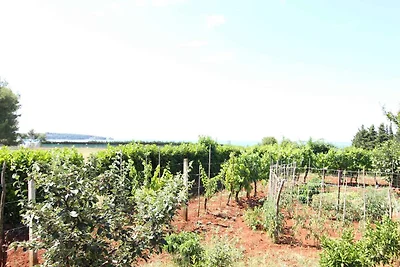 Ferienwohnung mit Klimaanlage und Parkplatz