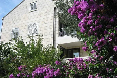 Holiday flat family holiday Dubrovnik & Vicinity