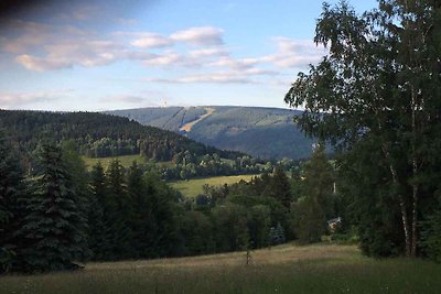 Ferienwohnung in Erzgebirge mit Möglichkeit