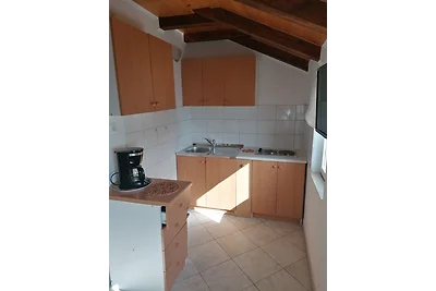 Appartamento Vacanza con famiglia Barić Draga
