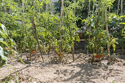 Gemütliche Ferienunterkunft Mila mit Meerblic