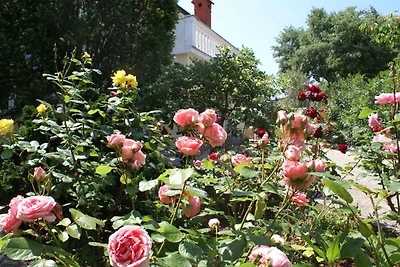 Ferienwohnung na mirnom mijestu