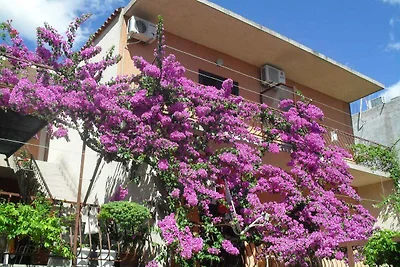 Vakantieappartement Gezinsvakantie Makarska