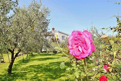 Vakantieappartement Gezinsvakantie Fažana