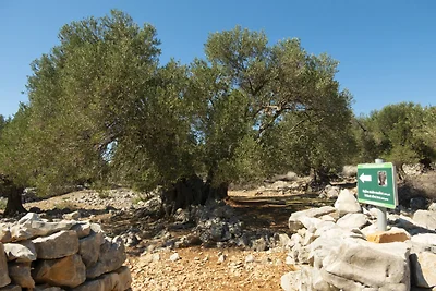 Studio mit Balkon und Klimaanlage