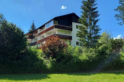 Appartamento Vacanza con famiglia Bad Mitterndorf