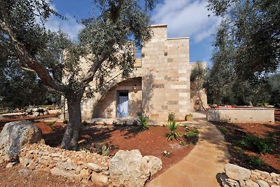 Ferienwohnung in einem Olivenhain