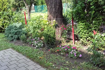 Vakantiehuis Ontspannende vakantie Balatonfenyves