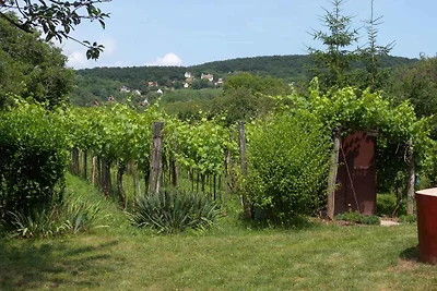 Ferienhaus mit Schaukel und Gartendusche