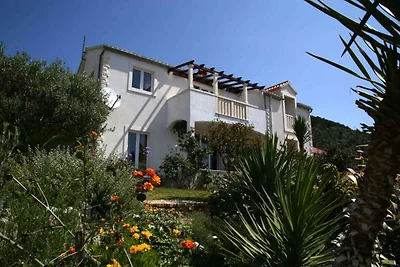 Appartamento Vacanza con famiglia Bol