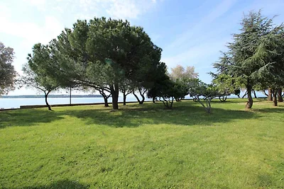 Ferienwohnung 100 m von Strand