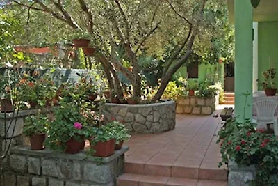 Apartamento Vacaciones familiares Veli Losinj