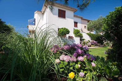 Ferienwohnung mit Terrasse