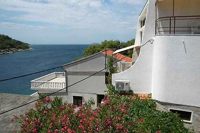 Apartment Zirje mit Meerblick in Strandnähe