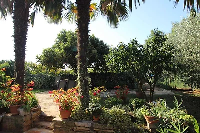 Ferienwohnung mit Garten und Klimaanlage