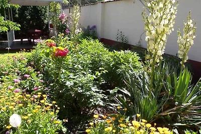 Studio in einer ruhigen Strasse in