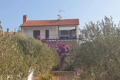 Ferienwohnung 100 m zur Adria