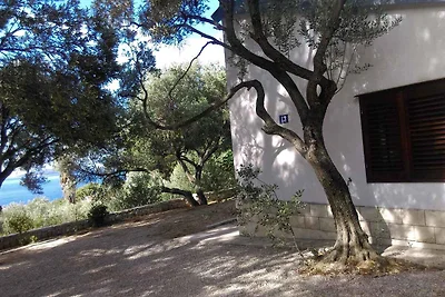 Ferienhaus mit Klimaanlage und Meerblick