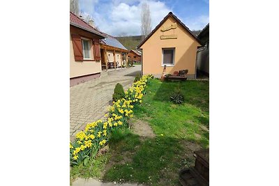 Ferienhaus mit WLAN, Whirlpool, Infrasauna, P