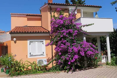 Ferienwohnung mit Sommerküche Nutzung