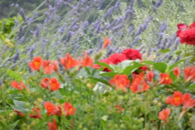 Studio mit Terrasse und Klimaanlage