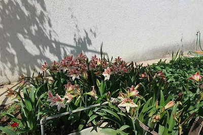 Gemütliche Unterkunft Dragica C.