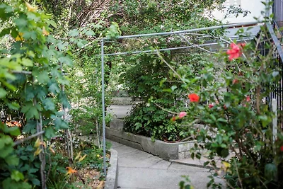 Schöne Wohnung auf der Insel Rab, nur 150 m v