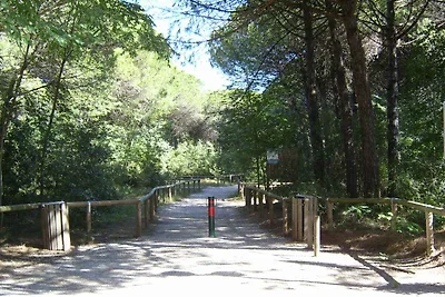 Ferienwohnung 250 m vom Strand entfernt