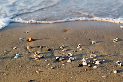 Ferienwohnung auf dem Strand