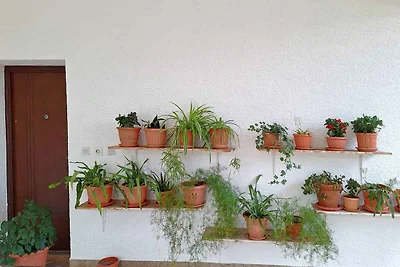 Komfortables Ferienhaus Flower Terrace mit Te