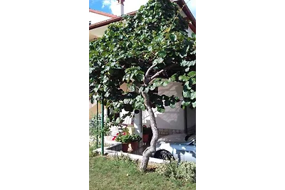 Vakantieappartement Gezinsvakantie Rovinj