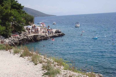 Ferienwohnung 100 m vom Strand entfernt mit T