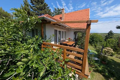 Ferienhaus mit Panorama und Internet