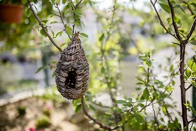 Apartment mit einem Dreibettzimmer und einem 
