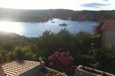 Casa vacanze Vacanza di relax Nečujam