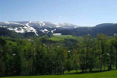 Ferienwohnung mit Kamin und schöner Aussicht