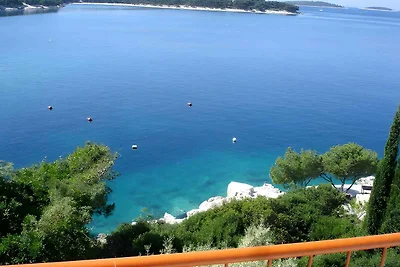 Ferienwohnung mit schönem Blick auf das Meer 