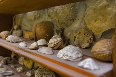 Ferienhaus mit eigener Terrasse und Pool