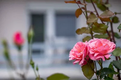 Ferienwohnung mit Klimaanlage